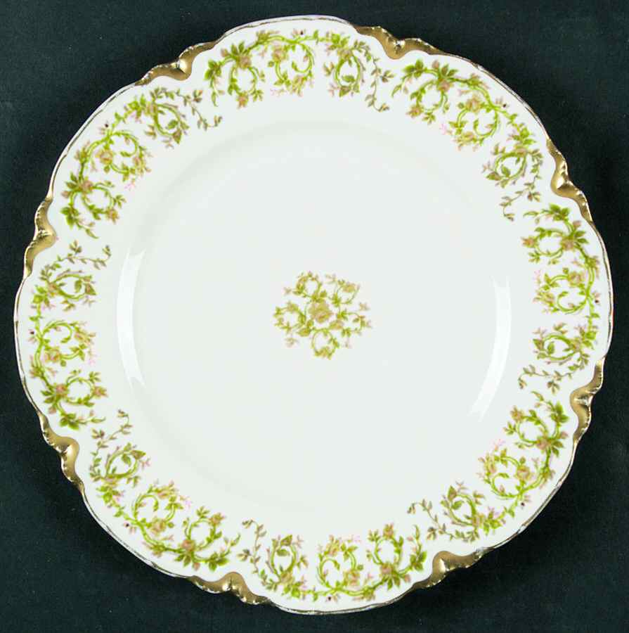 H3048 Dinner Plate by Haviland-1