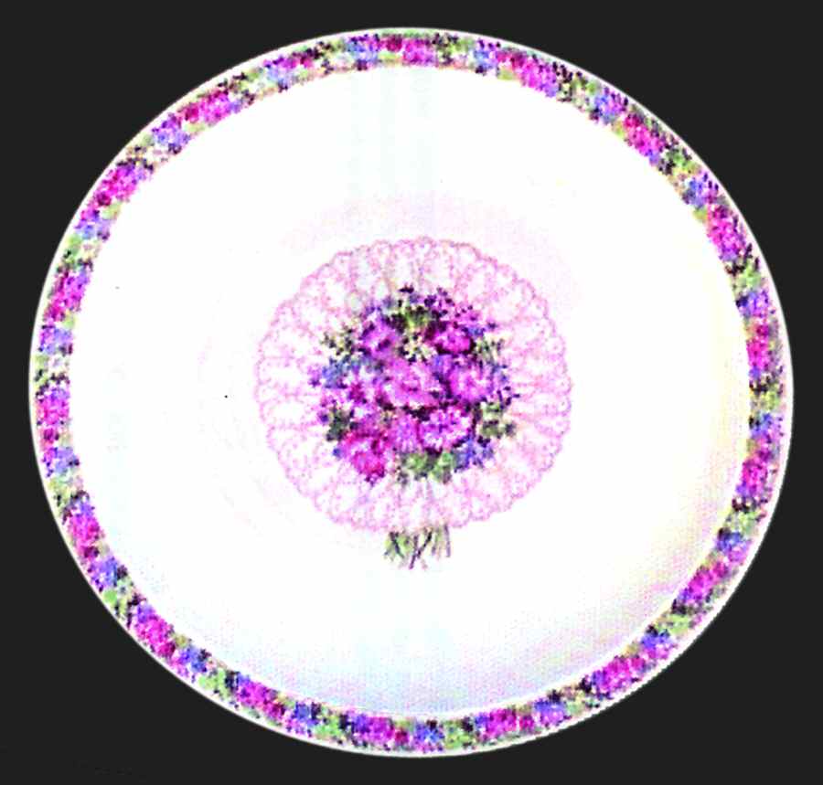 H3050 Dinner Plate by Haviland-1