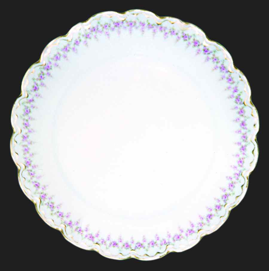 H3052 Dinner Plate by Haviland-1