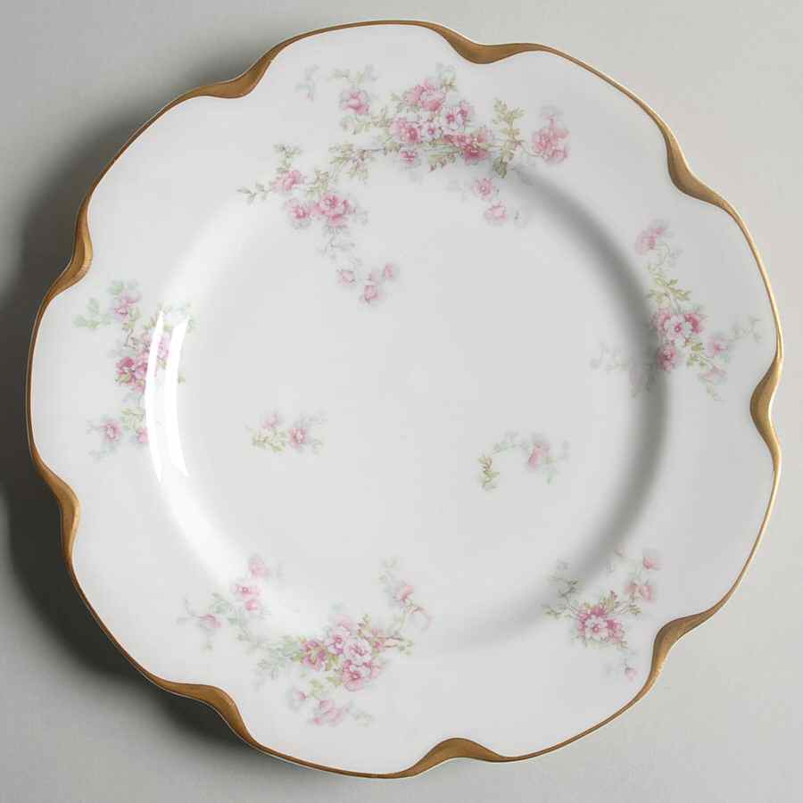 Schleiger 1173-4 Dinner Plate by Haviland-1