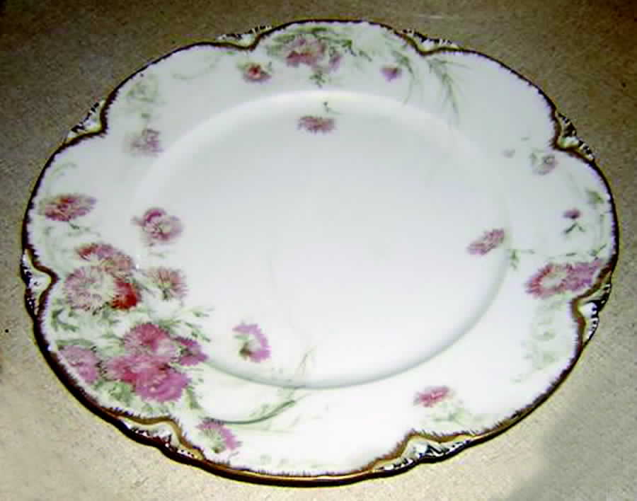 H3061 Dinner Plate by Haviland-1