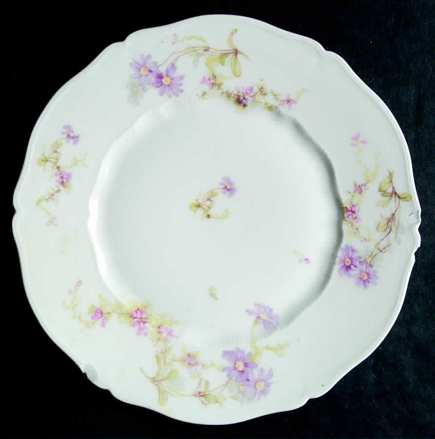 Schleiger 1041-4 Salad Plate by Haviland-1