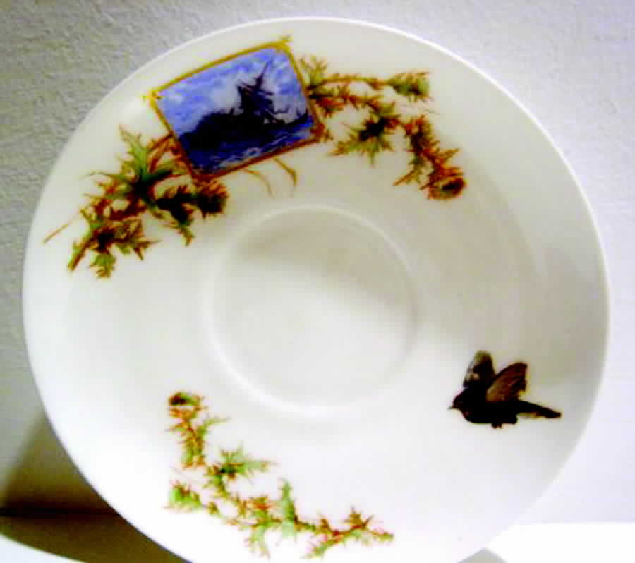 H3065 Saucer by Haviland-1