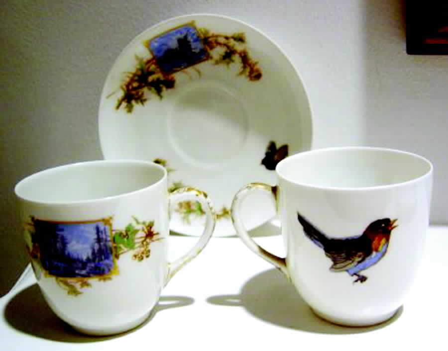 H3065 Flat Cup & Saucer Set by Haviland-1