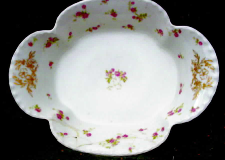 H3068 10" Oval Vegetable Bowl by Haviland-1