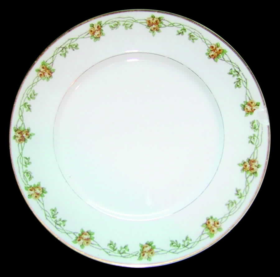 H3073 Dinner Plate by Haviland-1