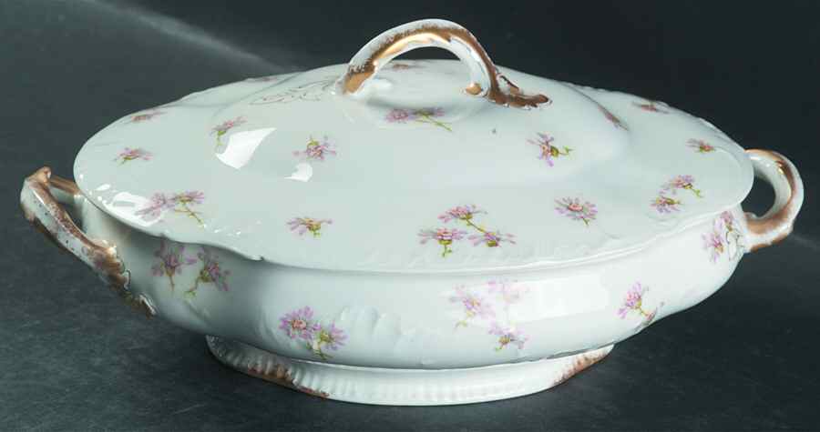 Schleiger 316-5 Oval Covered Vegetable by Haviland-1