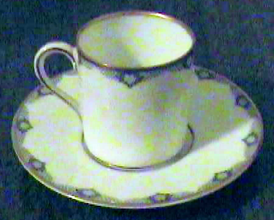 15479 Flat Demitasse Cup & Saucer Set by Hutschenreuther-1
