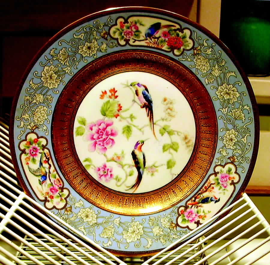 HUT1100 Dinner Plate by Hutschenreuther-1