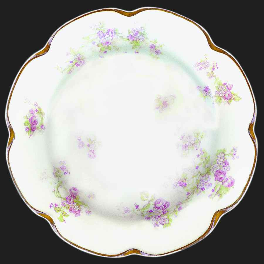 H3075 Luncheon Plate by Haviland-1