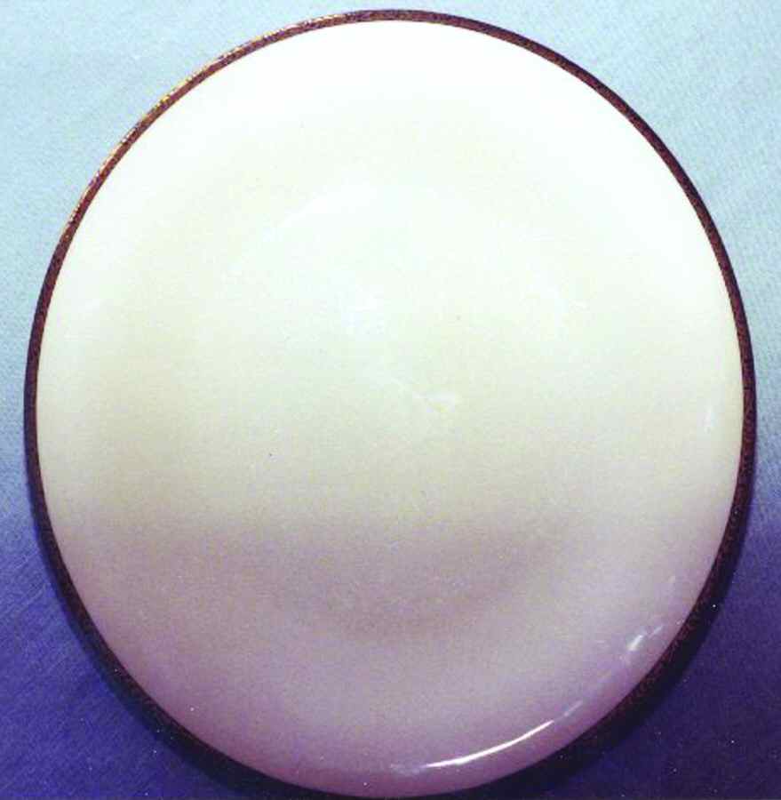 HUT1102 Salad Plate by Hutschenreuther-1