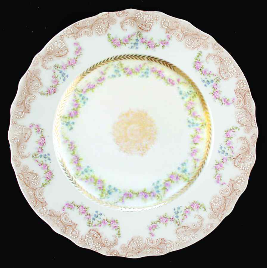 H3079 Dinner Plate by Haviland-1