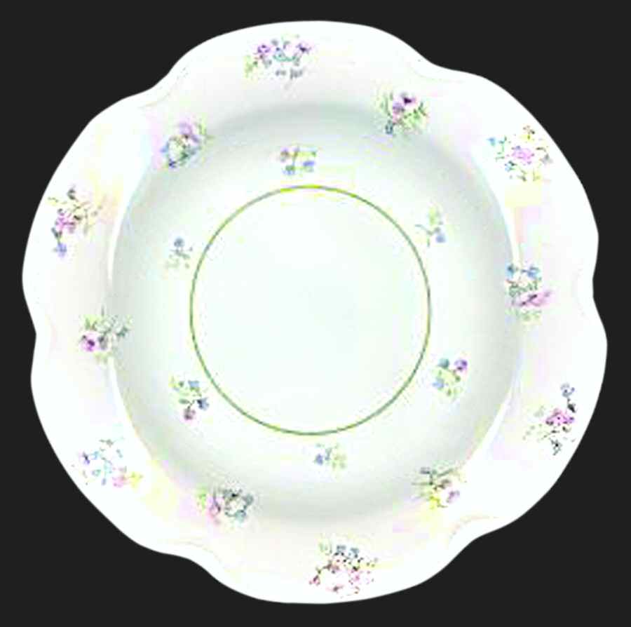 H3081 Bread & Butter Plate by Haviland-1
