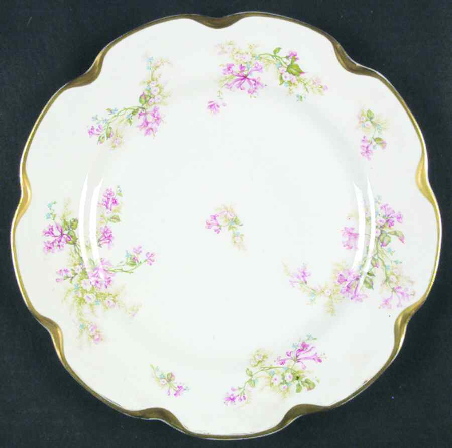 Schleiger 900-1 Dinner Plate by Haviland-1
