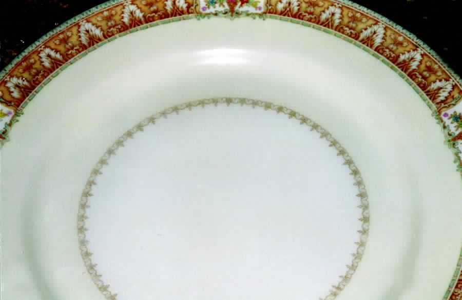 HIR51 Dinner Plate by Hira China-1
