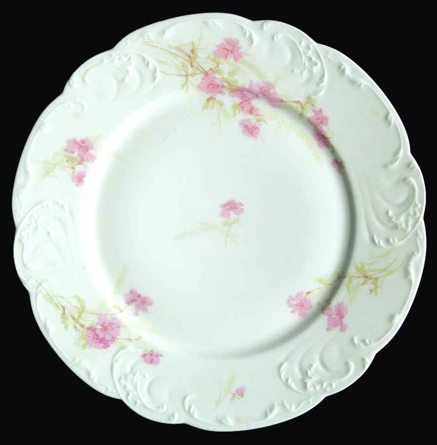 Schleiger 254-4 Dinner Plate by Haviland-1