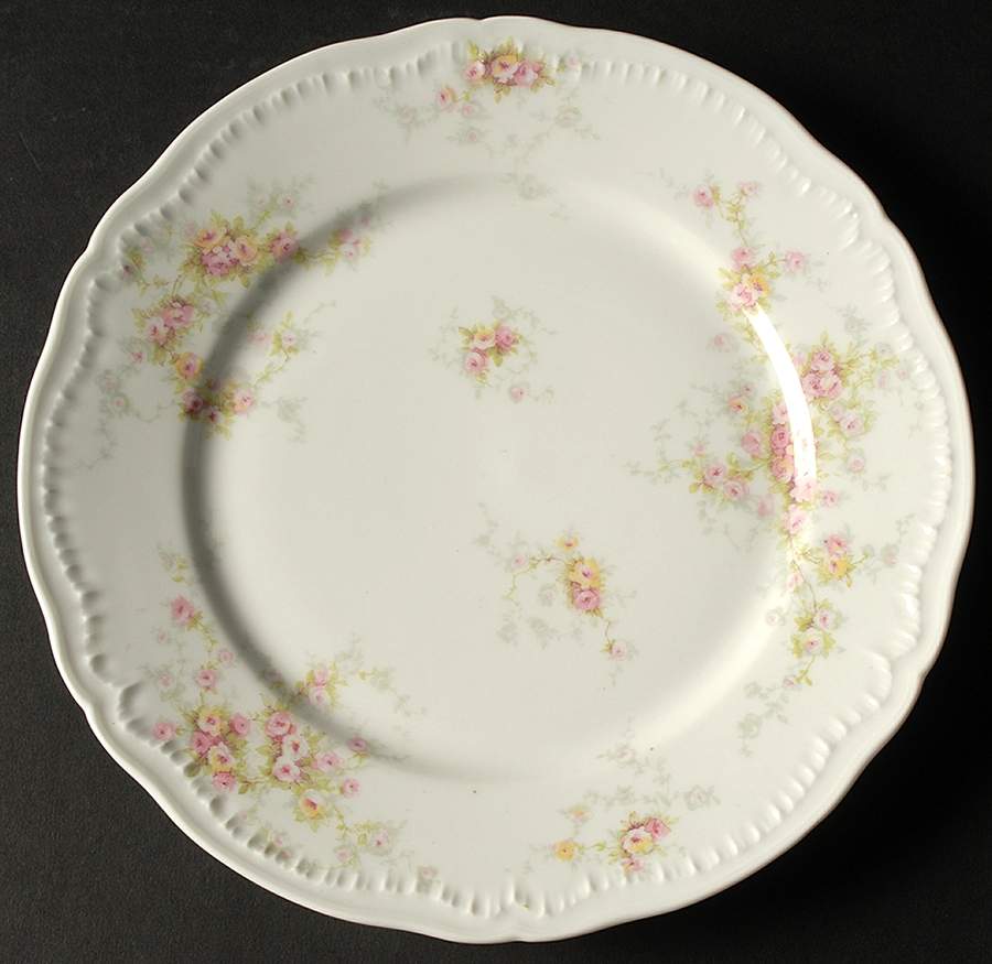 Schleiger 149-9 Dinner Plate by Haviland-1
