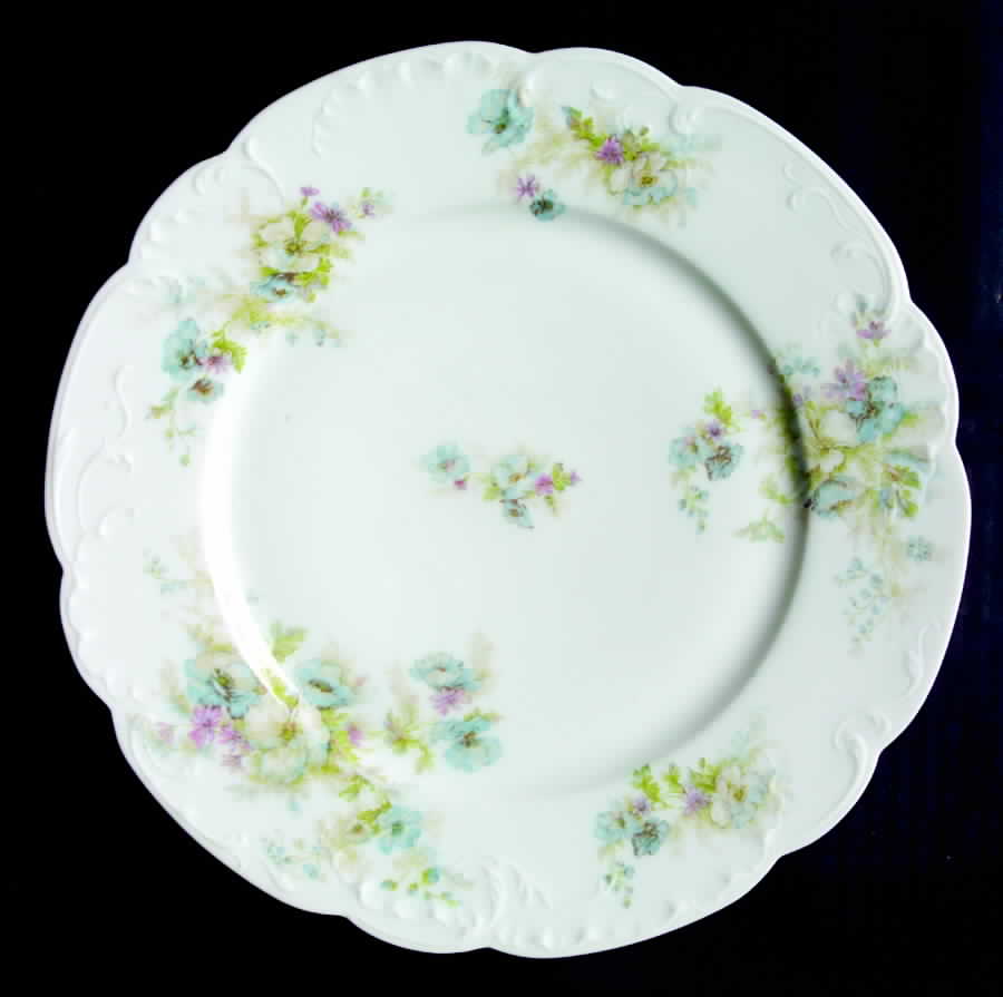 H3094 Dinner Plate by Haviland-1