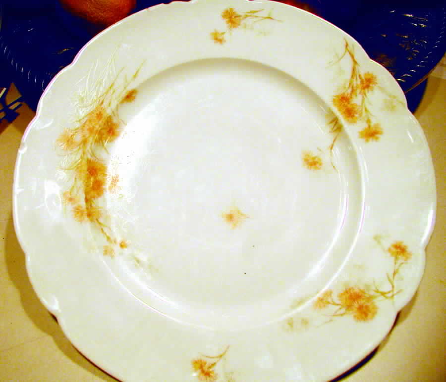Schleiger 431-5 Dinner Plate by Haviland-1