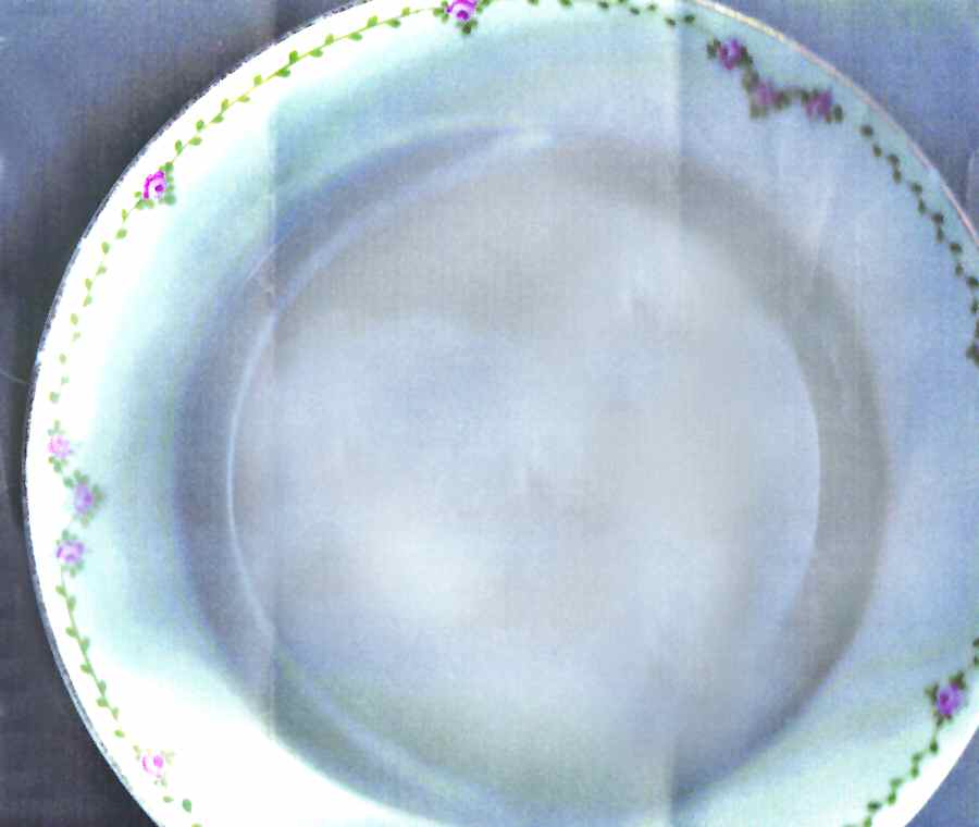 HC893 Dinner Plate by Heinrich - H&C-1