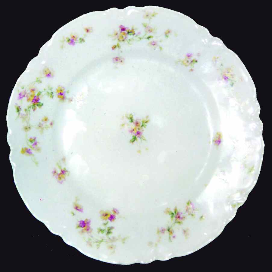 H3100 Dinner Plate by Haviland-1