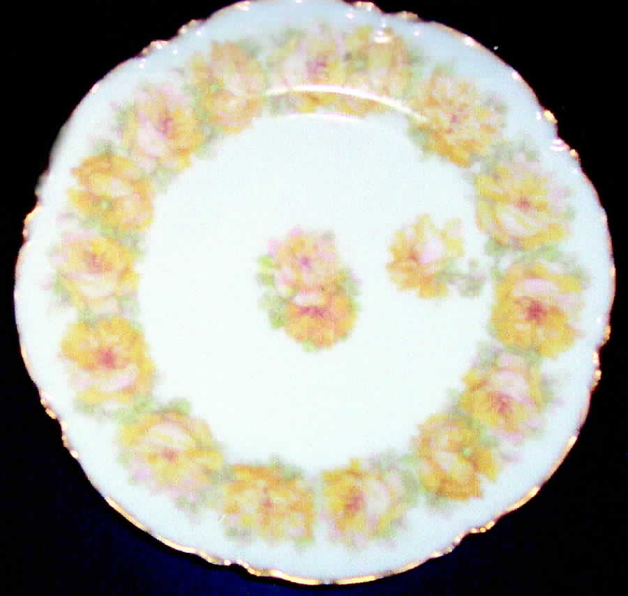 Schleiger 55-15 Salad Plate by Haviland-1