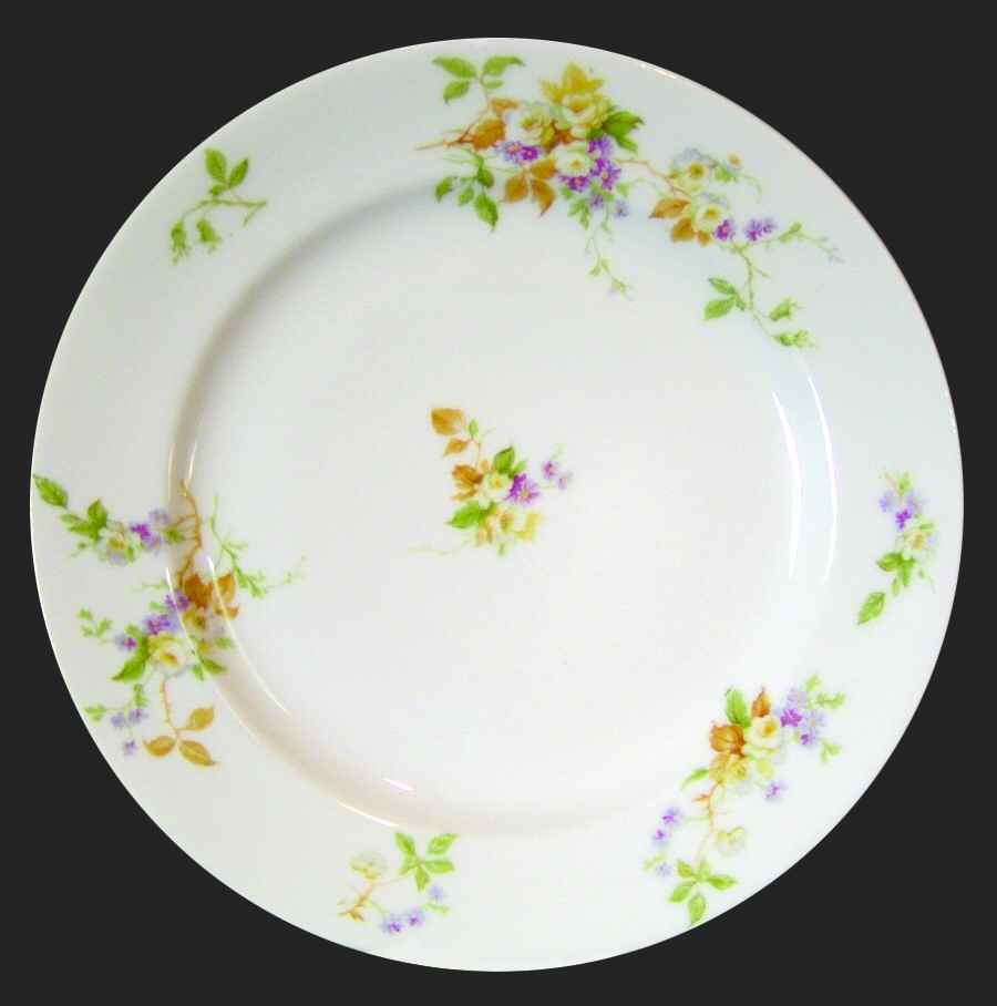 H3104 Dinner Plate by Haviland-1