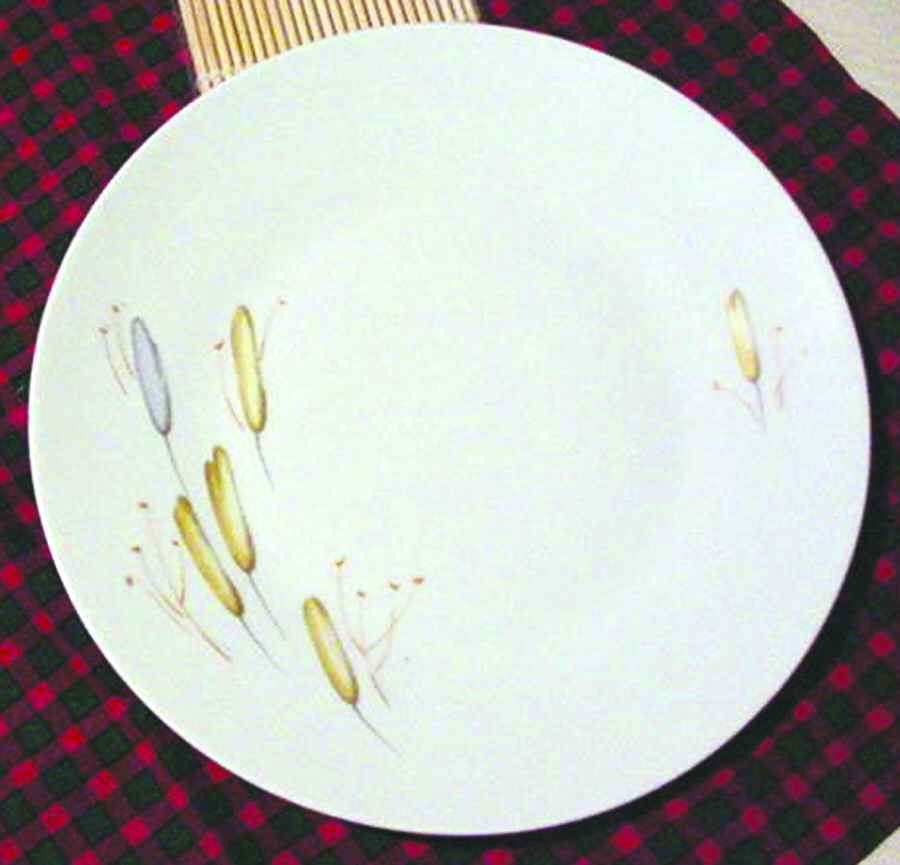 04101 Dinner Plate by Hutschenreuther-1