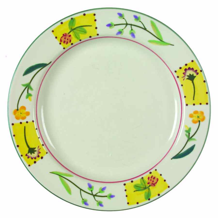 HRT11 Dinner Plate by Hartstone-1