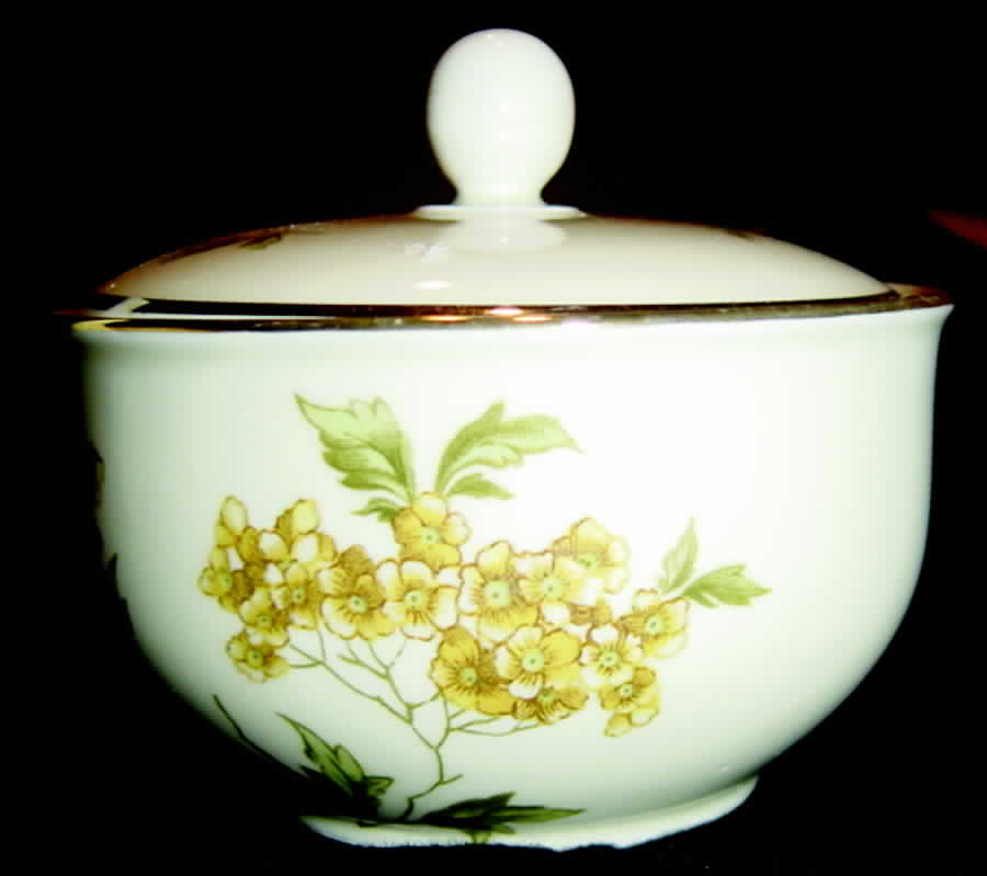 7929 Sugar Bowl & Lid by Hutschenreuther-1