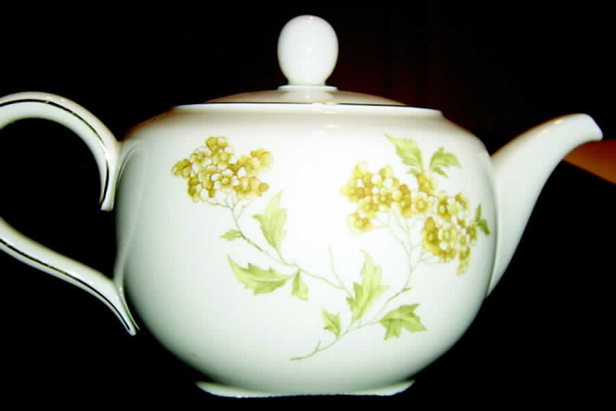 7929 Teapot & Lid by Hutschenreuther-1
