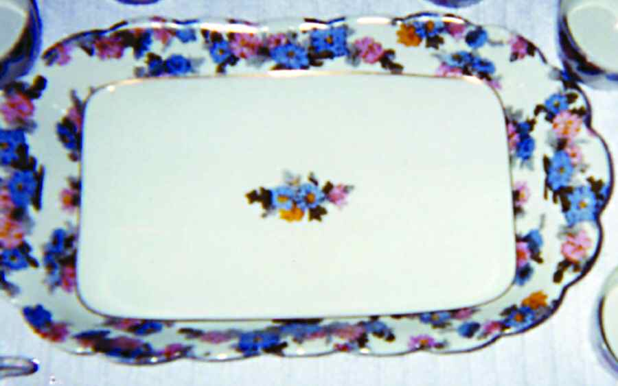 H3138 14" Oval Serving Platter by Haviland-1
