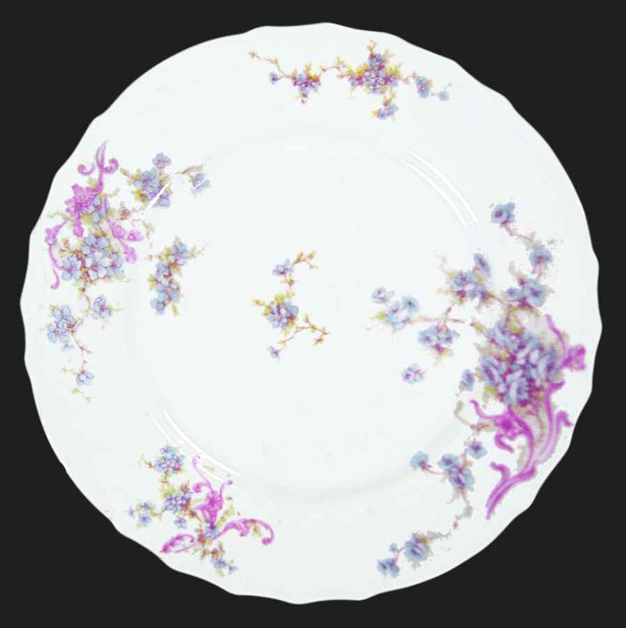 Schleiger 155-16 Dinner Plate by Haviland-1