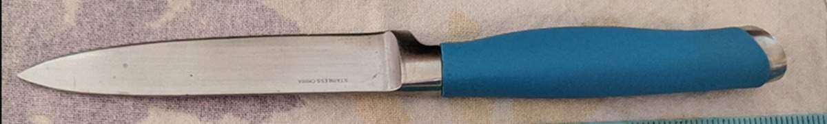 Fiesta Peacock (Intro 2005) Individual Steak Knife by Homer Laughlin -1