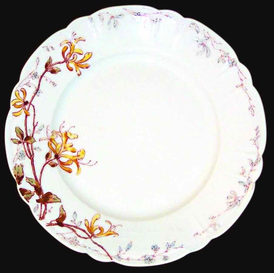 H3144 Dinner Plate by Haviland-1