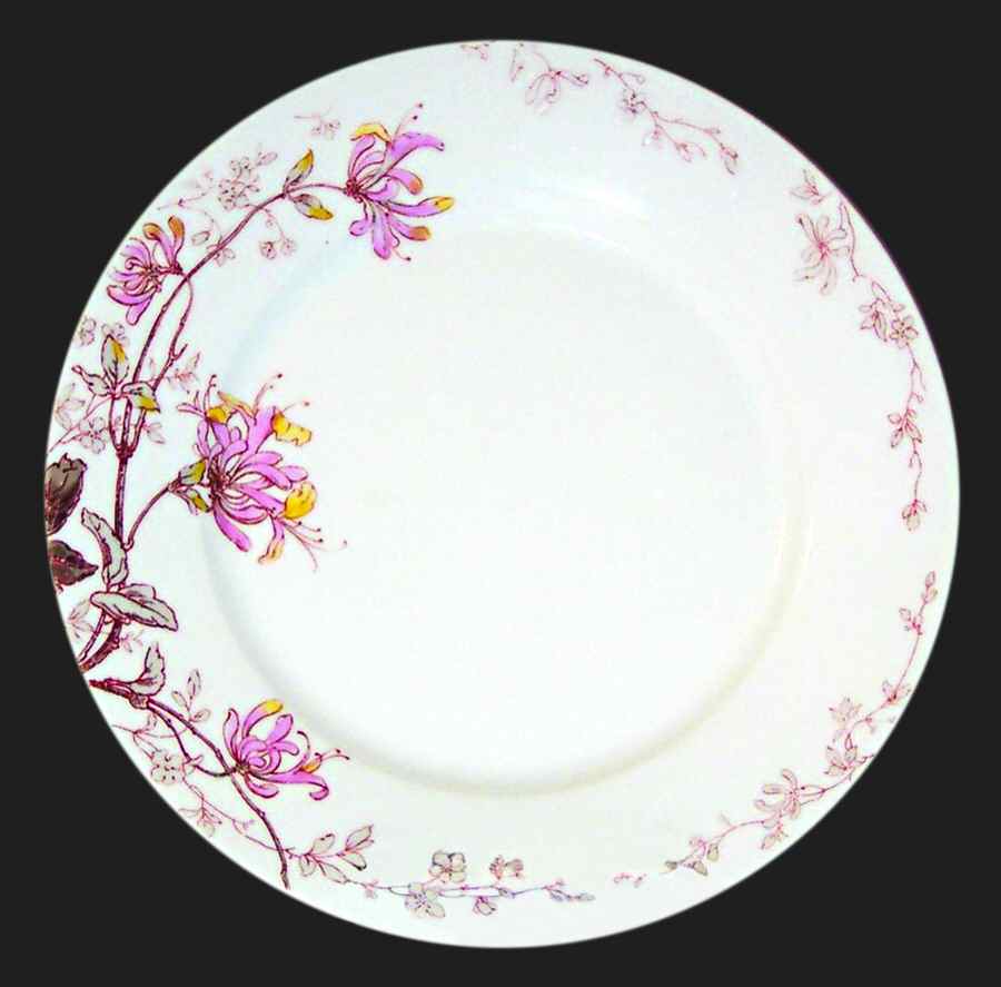 H3145 Dinner Plate by Haviland-1