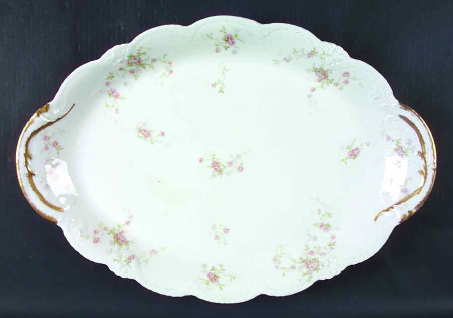 Schleiger 1245-4 19" Oval Serving Platter by Haviland-1