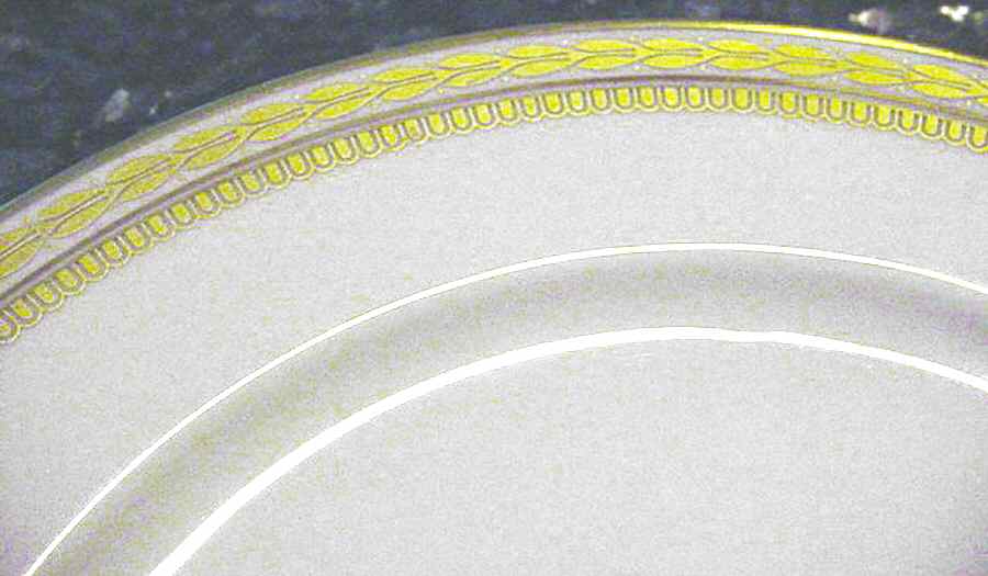 HUT1455 Salad Plate by Hutschenreuther-1