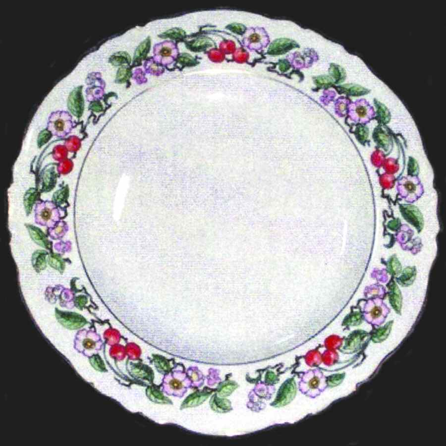 H3152 Dinner Plate by Haviland-1