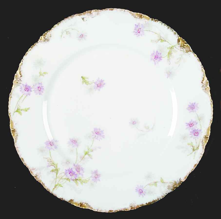 Schleiger 164-8 Dinner Plate by Haviland-1