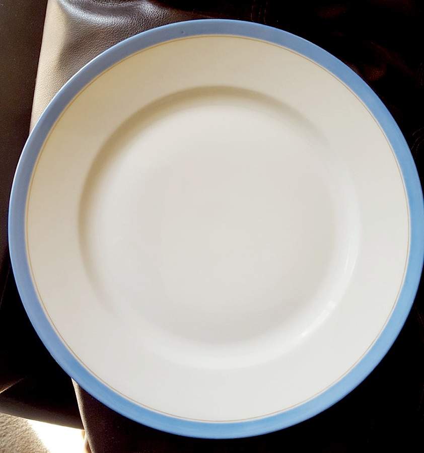 H3166 Dinner Plate by Haviland-1