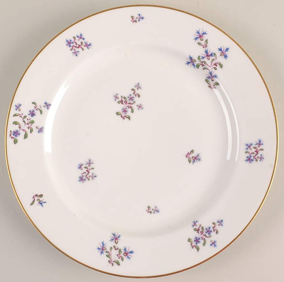 Schleiger 477-4 Dinner Plate by Haviland-1
