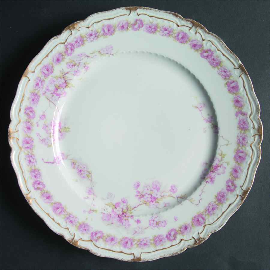 Schleiger 248-8 Dinner Plate by Haviland-1