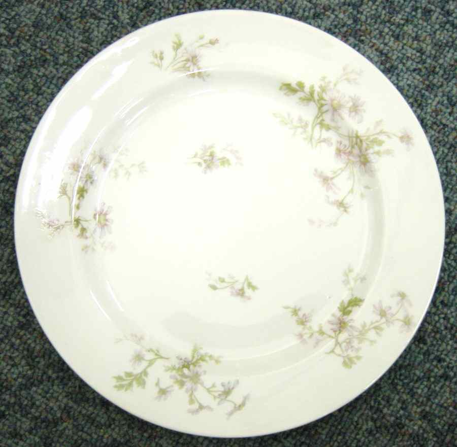 H3169 Dinner Plate by Haviland-1