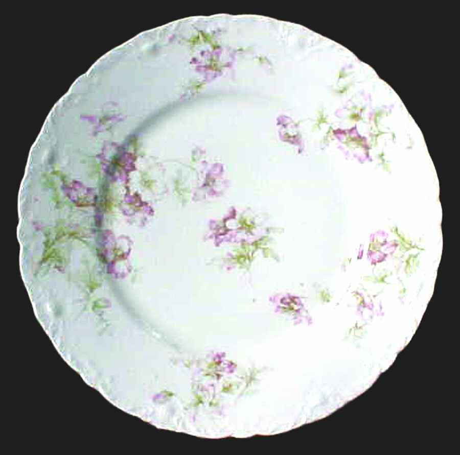 H3172 Dinner Plate by Haviland-1