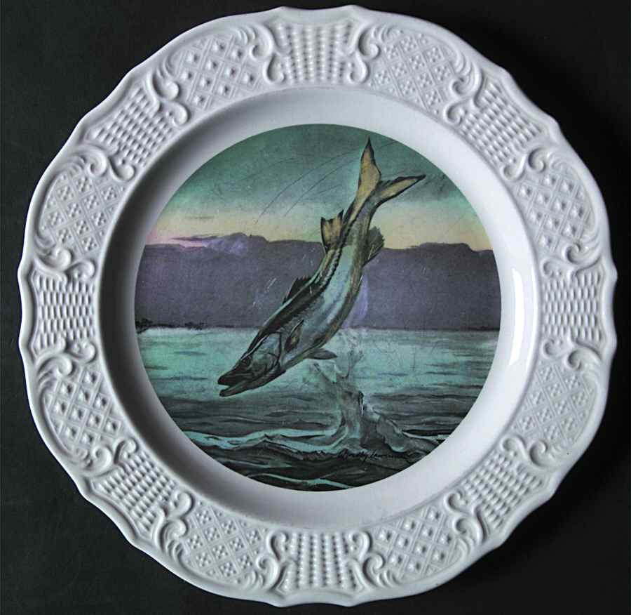 Fish Series Luncheon Plate by House of Seagram-1