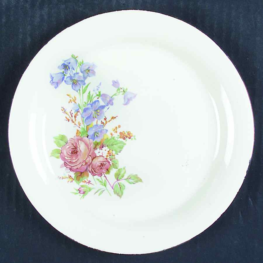 HLC3543 Dinner Plate by Homer Laughlin -1