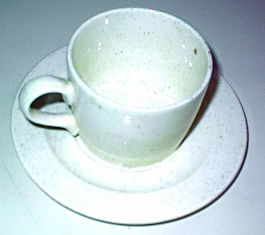 Oatmeal Flat Cup & Saucer Set by Homer Laughlin -1