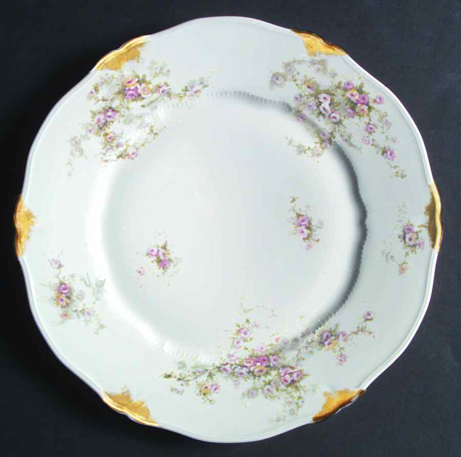Schleiger 149-10 Dinner Plate by Haviland-1