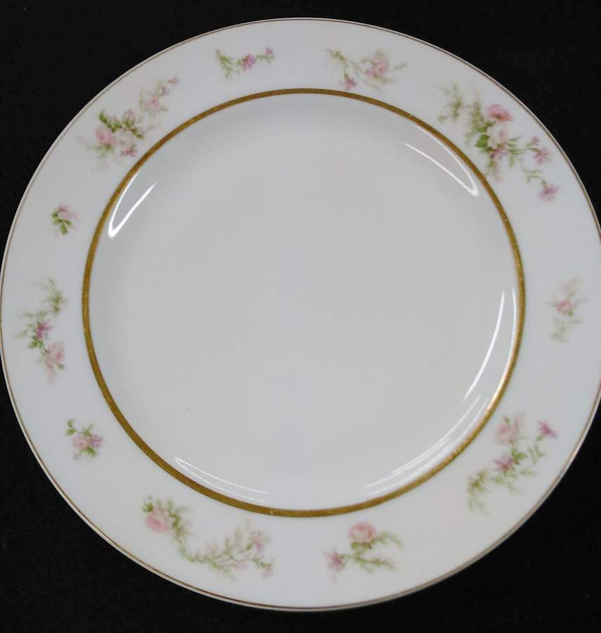 Schleiger 53-2 Dinner Plate by Haviland-1